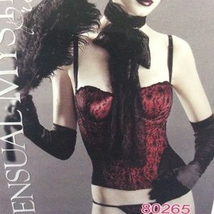 Red Satin Bustier (Sensual Mystique Lingerie)